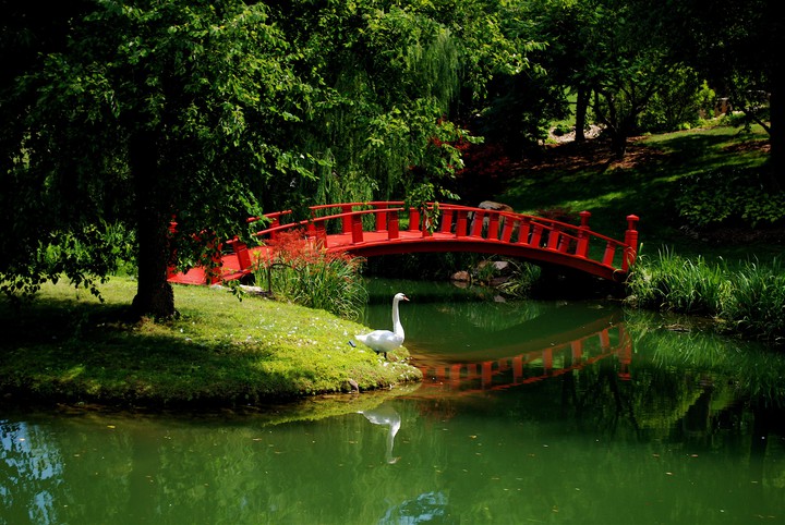 bridge