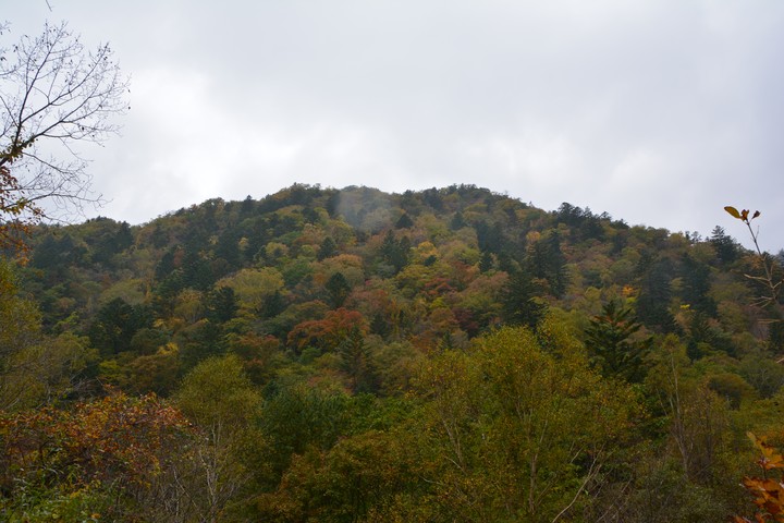 오대산이미지