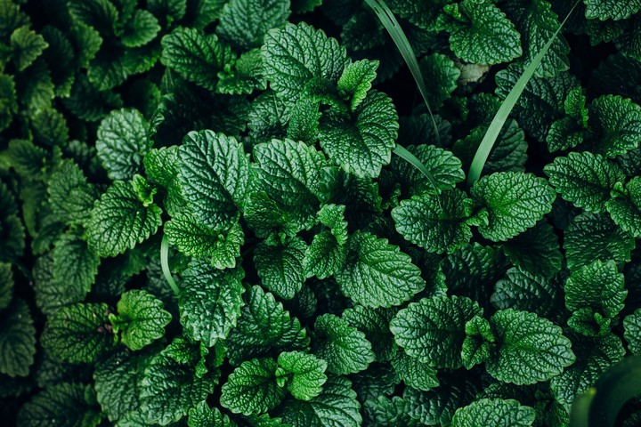 green
