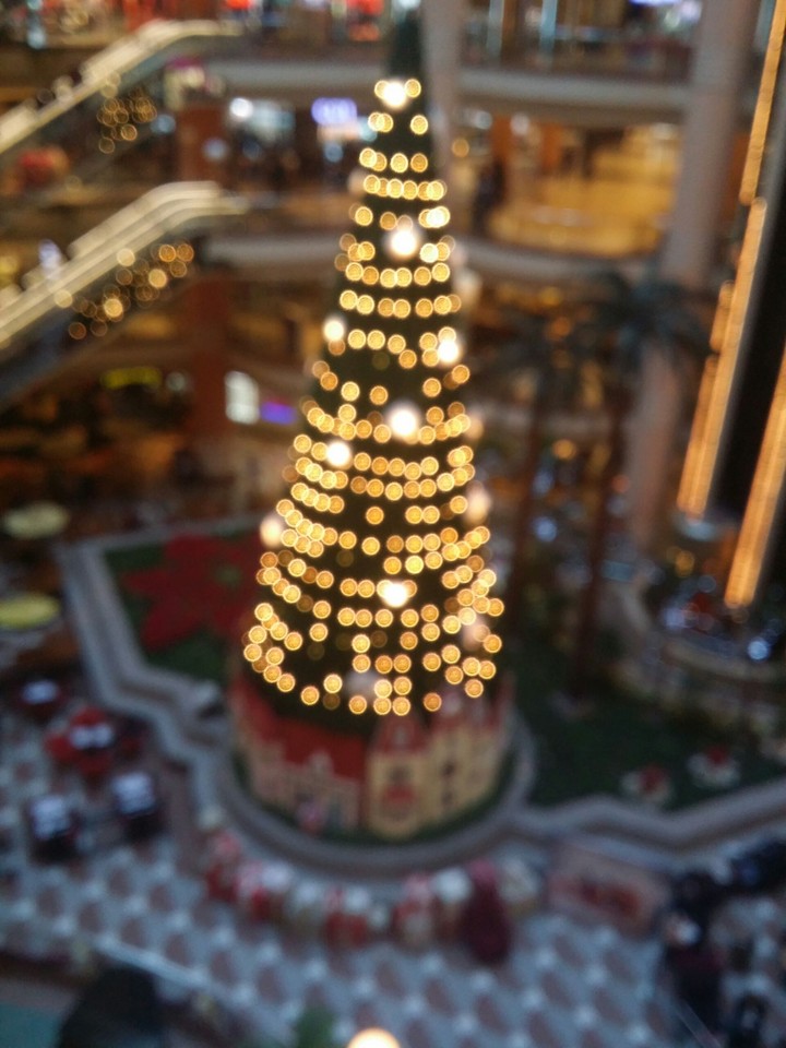 tree