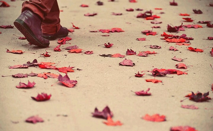 A lone walker among fallen leaves...