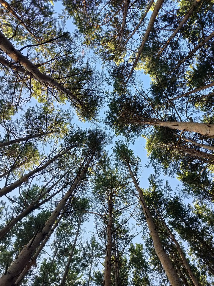 Взгляни на небо