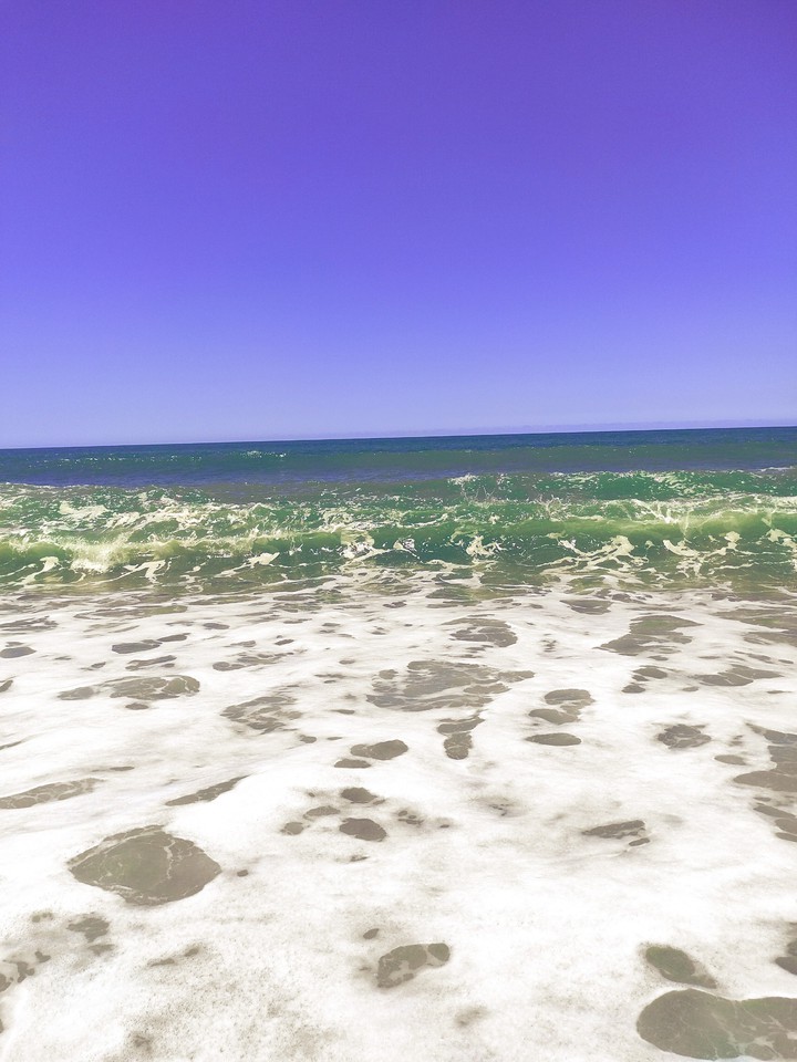 #SEA