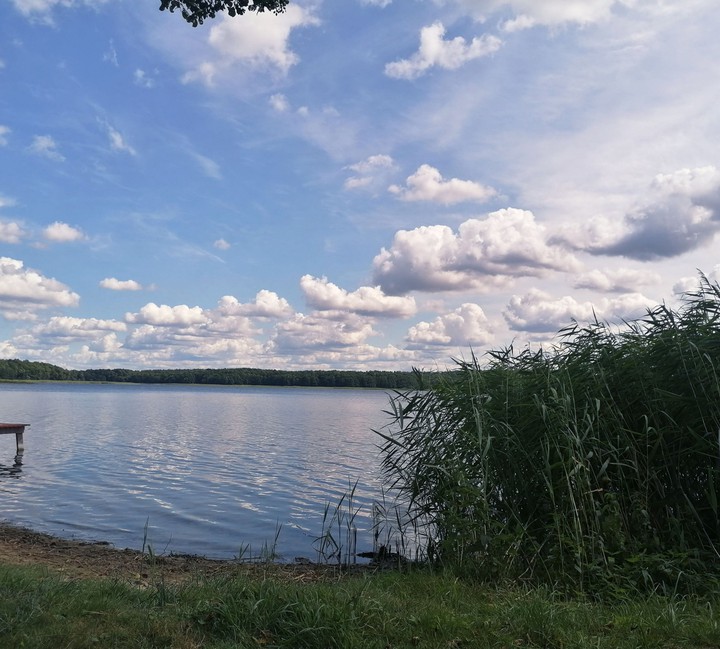 The Lake