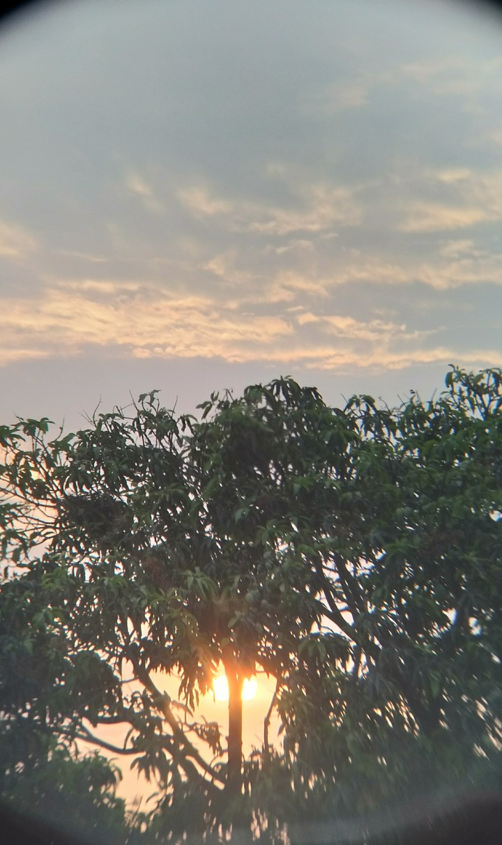 nice morning
