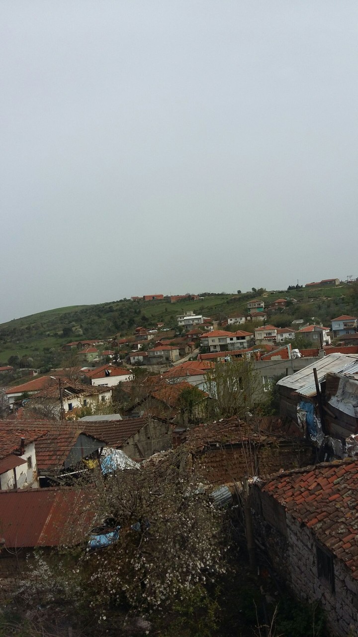 BURSA