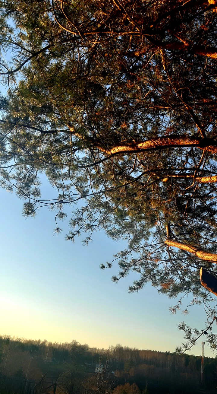 under the sun
