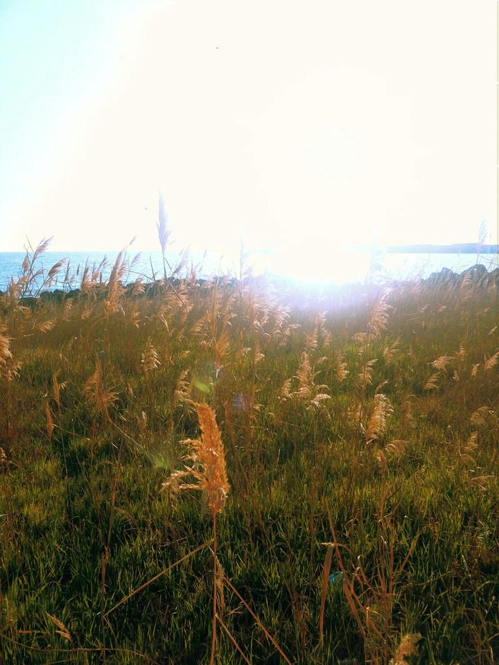 Hope