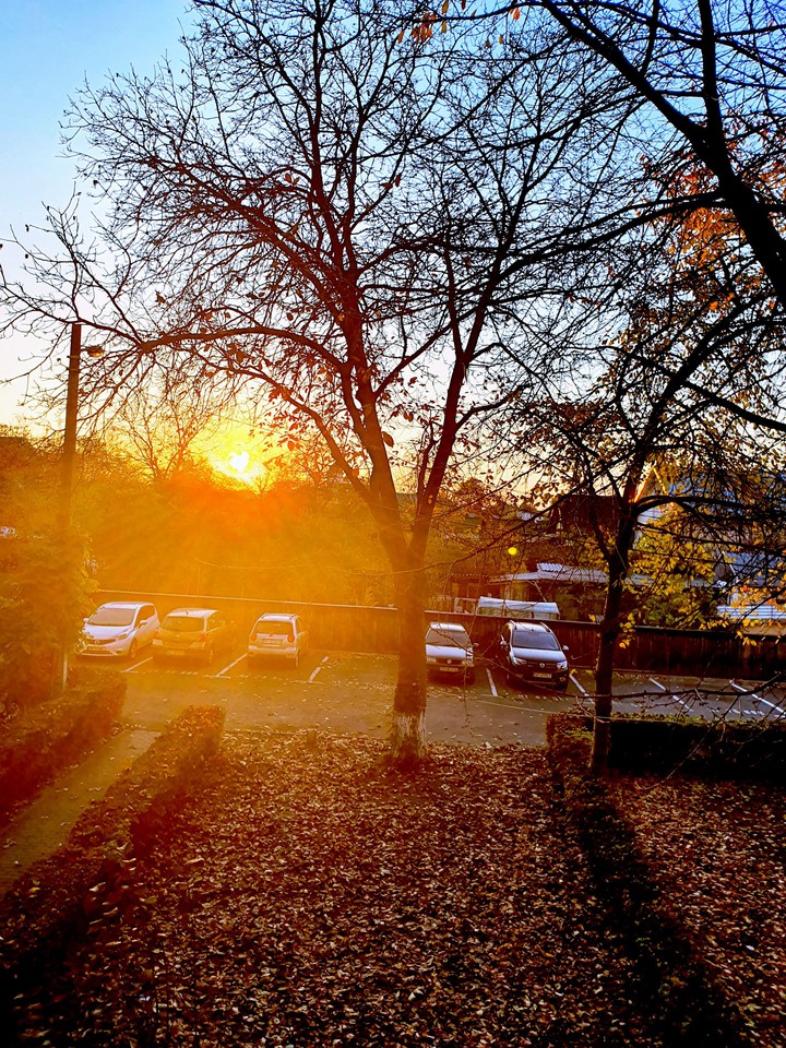 Sunset park