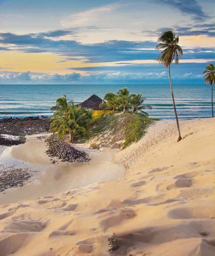 Natal/Rio Grande Do Norte/Brasil