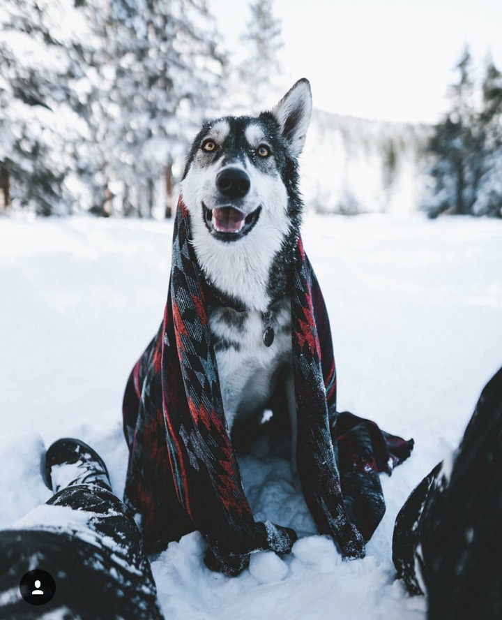 Out in the Snow