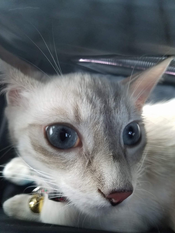 Nina