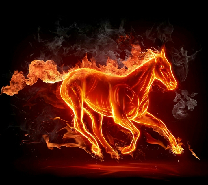 Horse