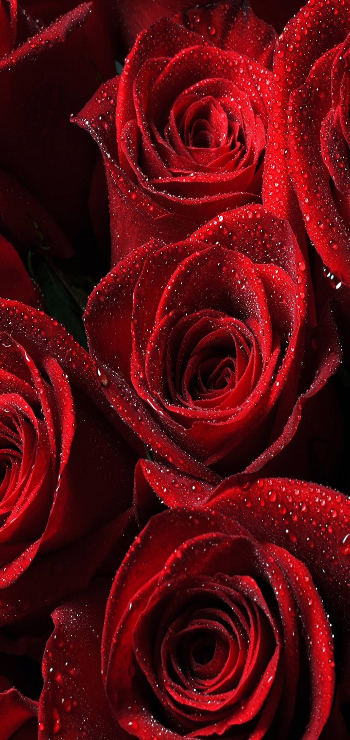 wowoooo looks love sweet awesome
