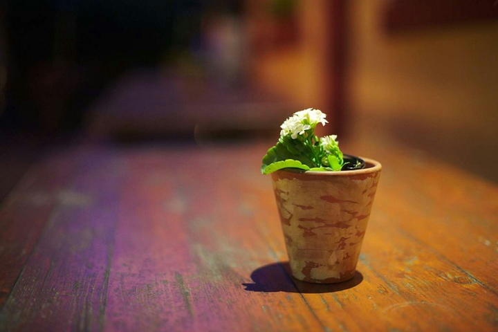 Flower Pot !!!