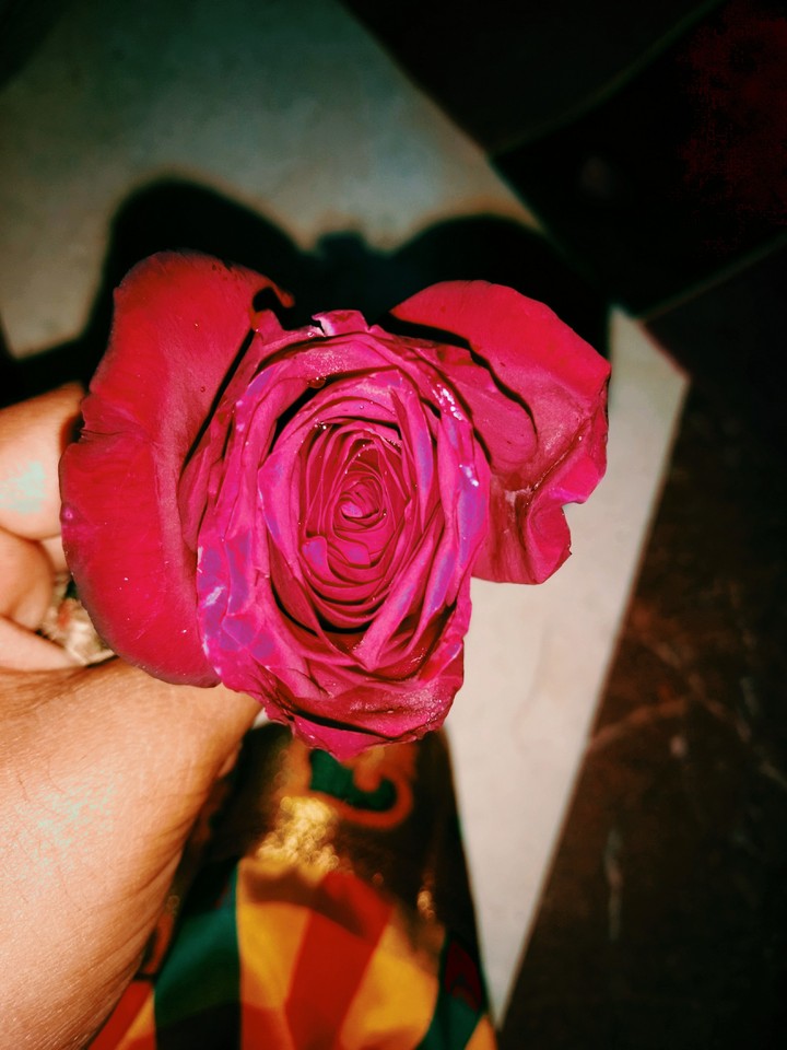 rose 2