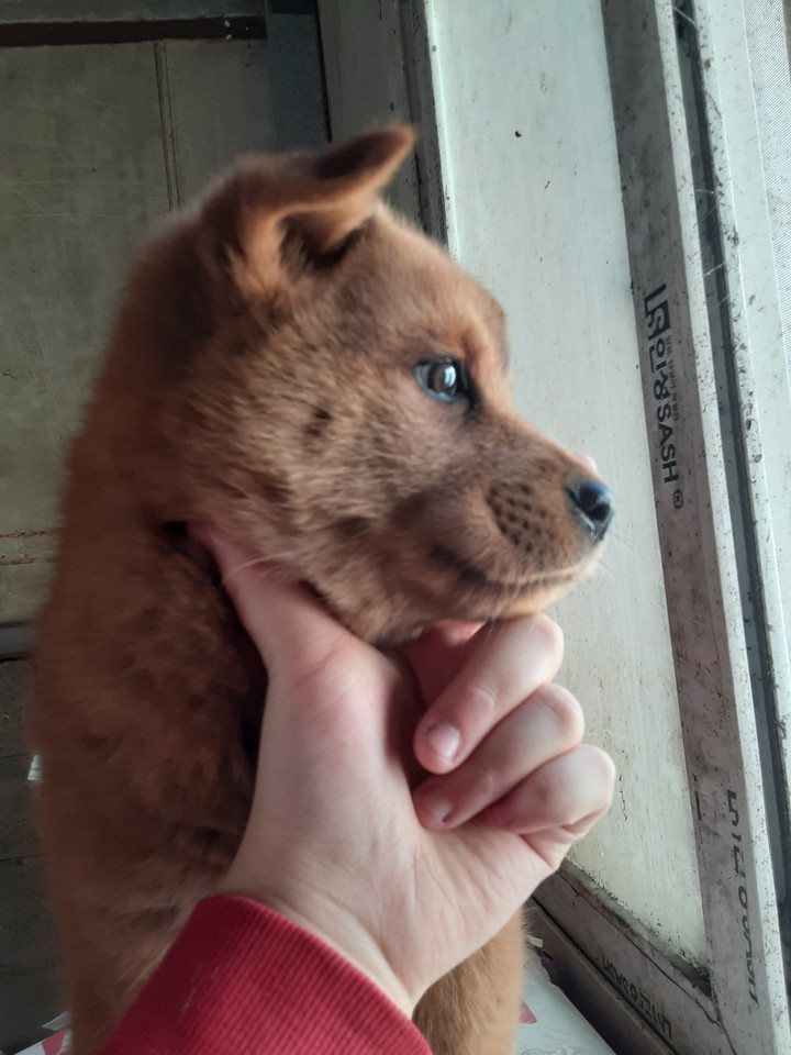 김치~~~