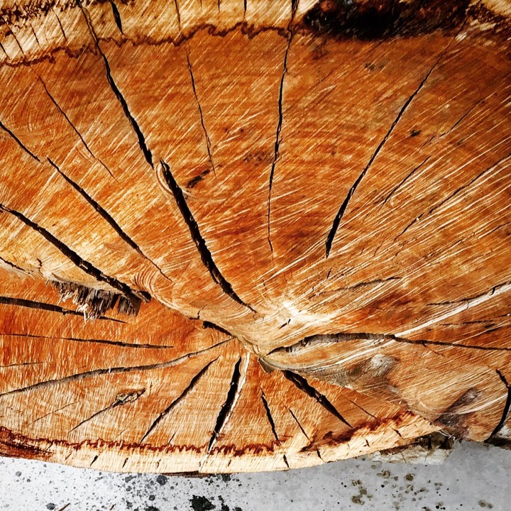 wood