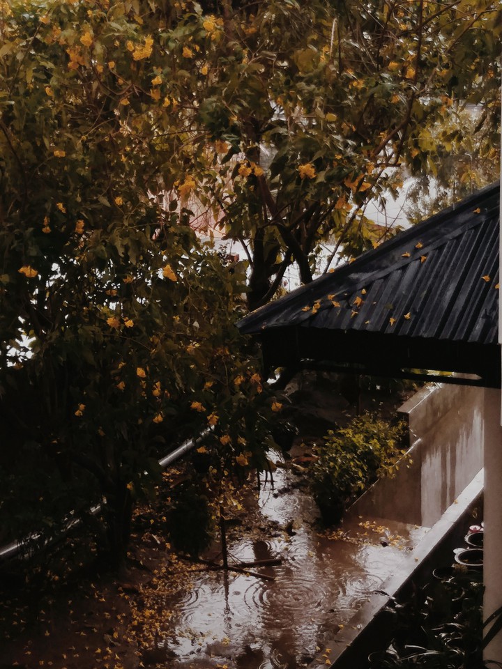 Fall