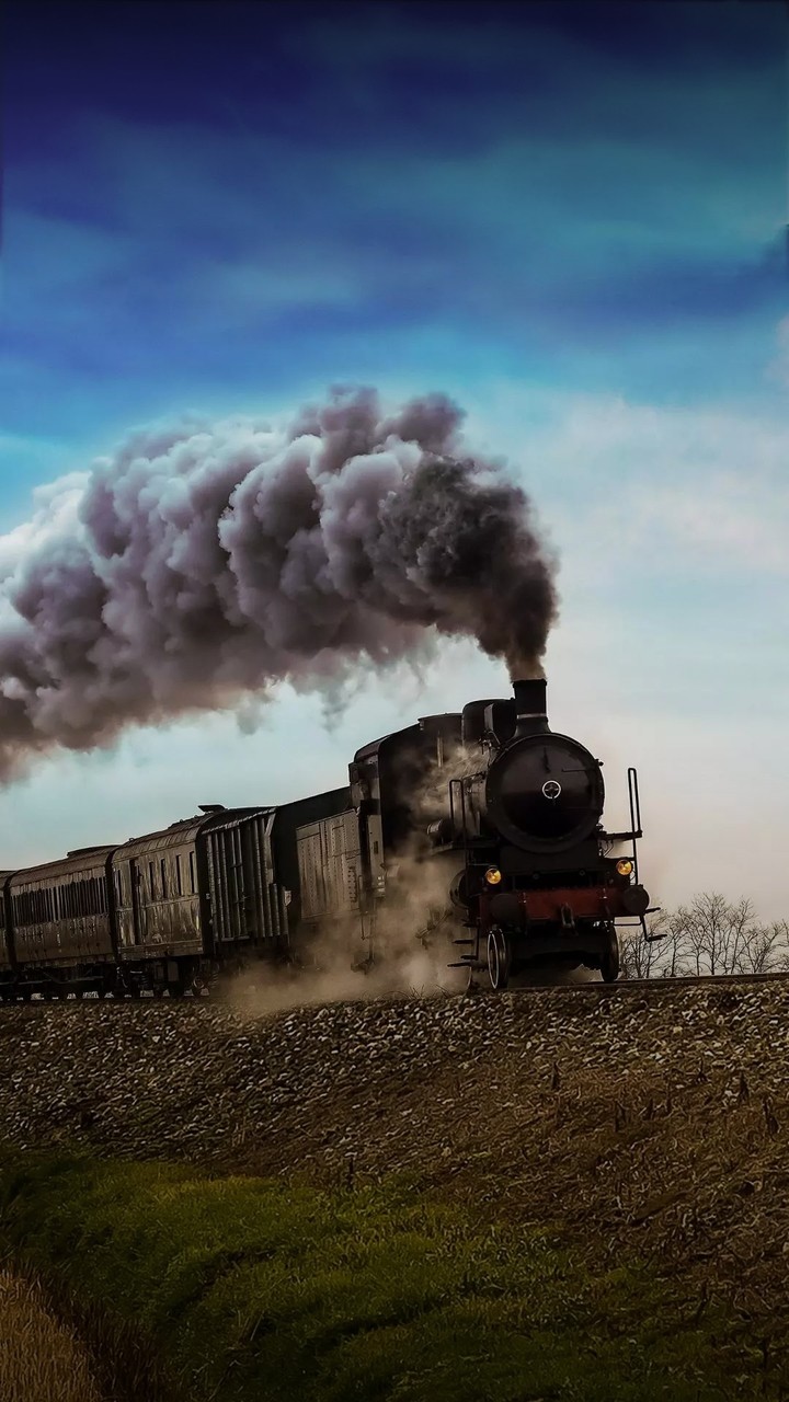 train