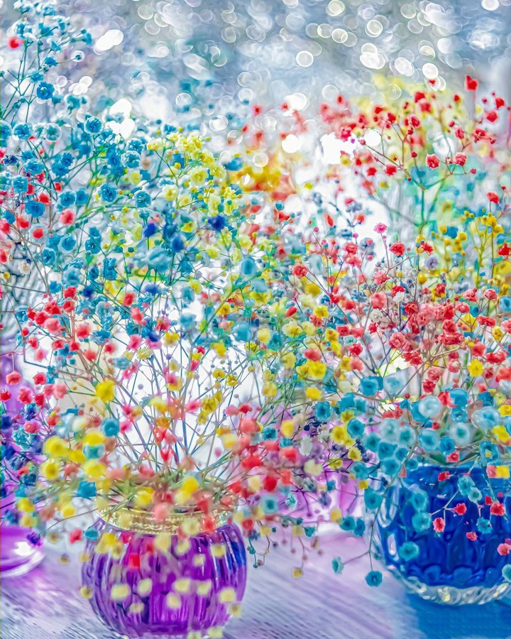 colors