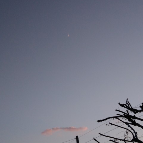 evening moon