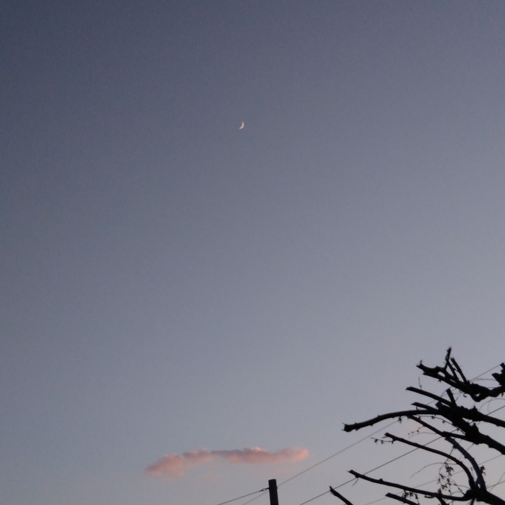 evening moon