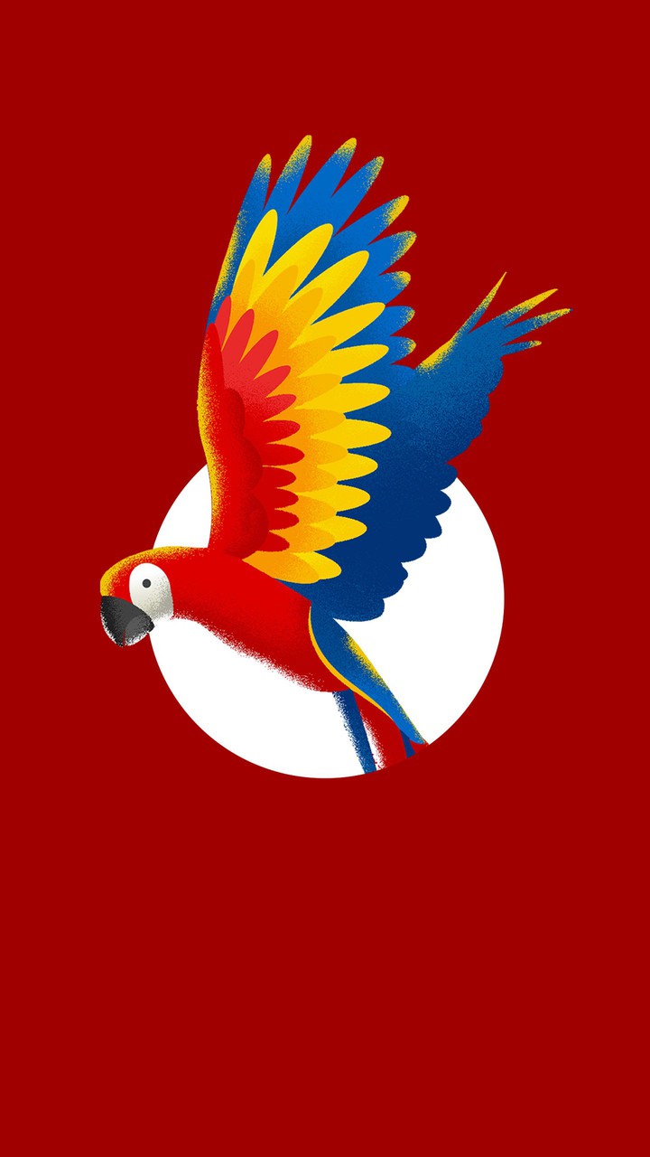 Parrot