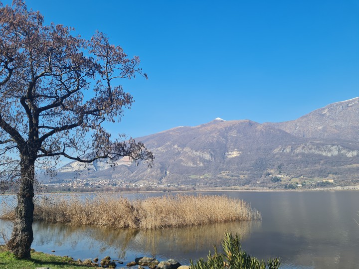 lake view