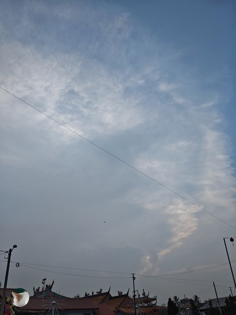 Daytime, Wire, Electrical_cable
