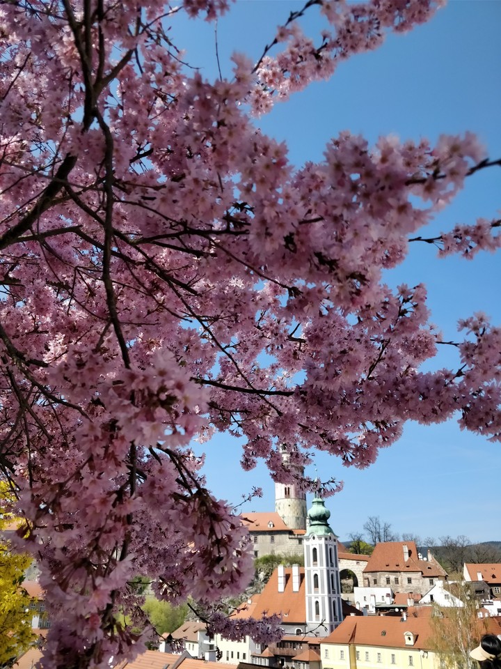 Český Krumlov