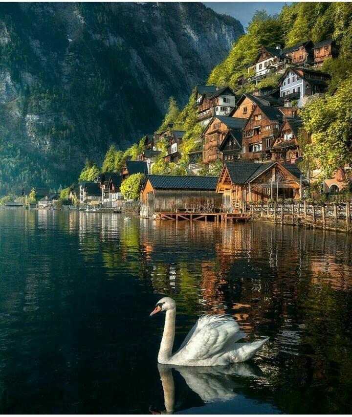 scenery