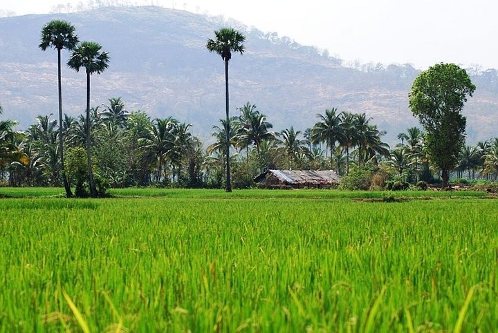 Kerala god's own country