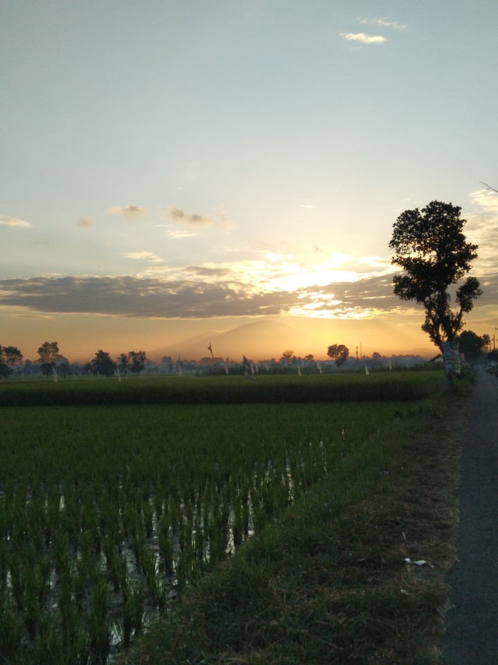 sunrise
