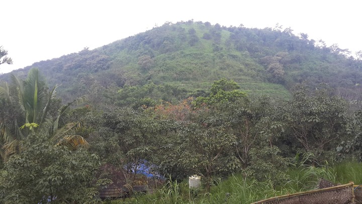 #Wayanad