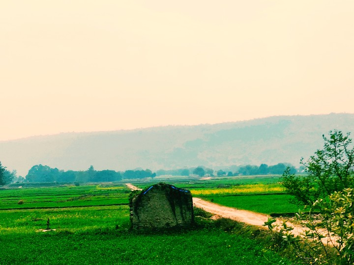 The road to Nature