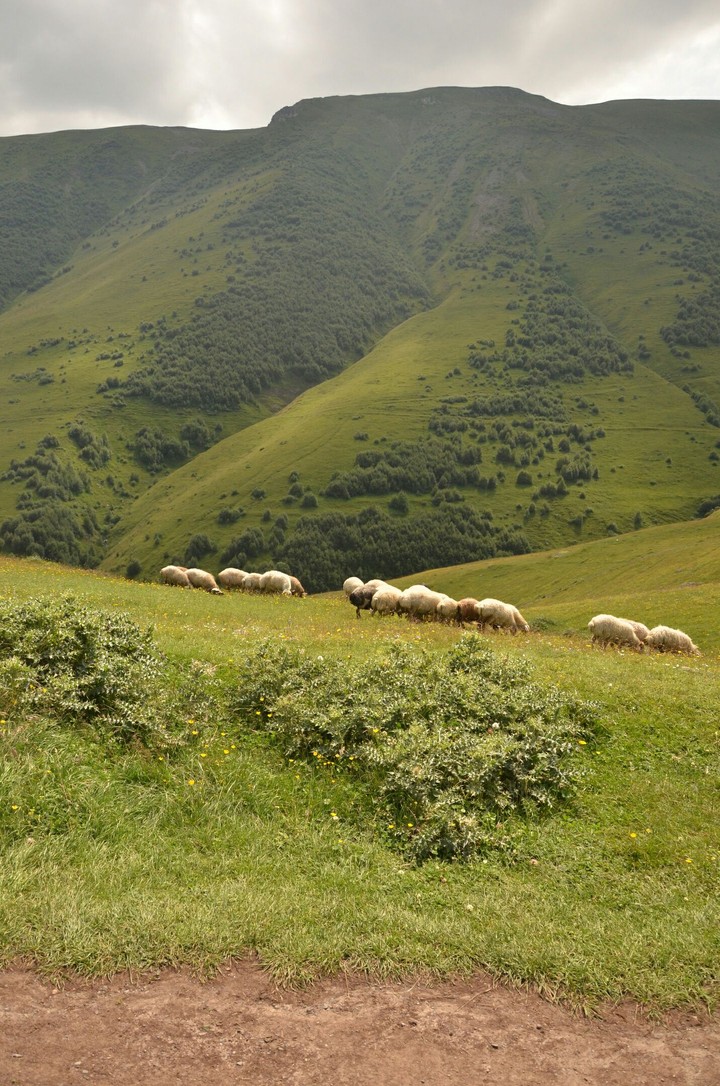#kazbegi #georgia #sakartvelo