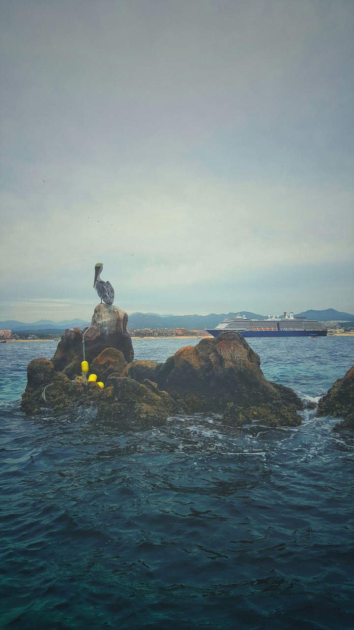 Los Cabos