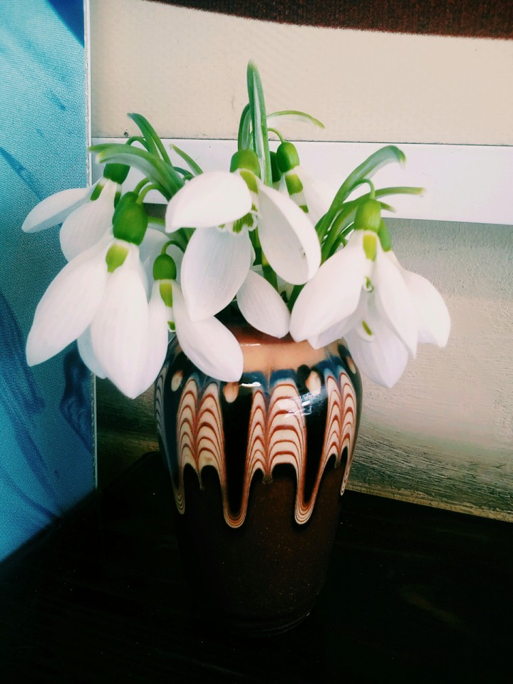 THE FIRST SIGN OF SPRING!