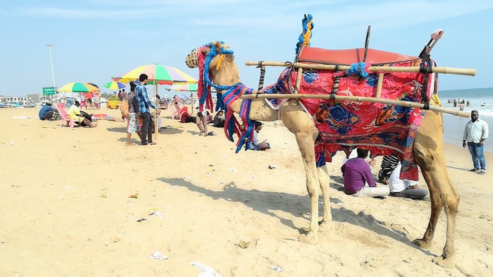 odisha tour #beachlife #puri #lordJagannathDham