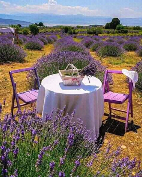 paisaje morado
