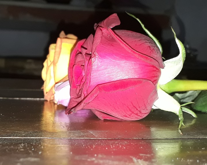 My ?