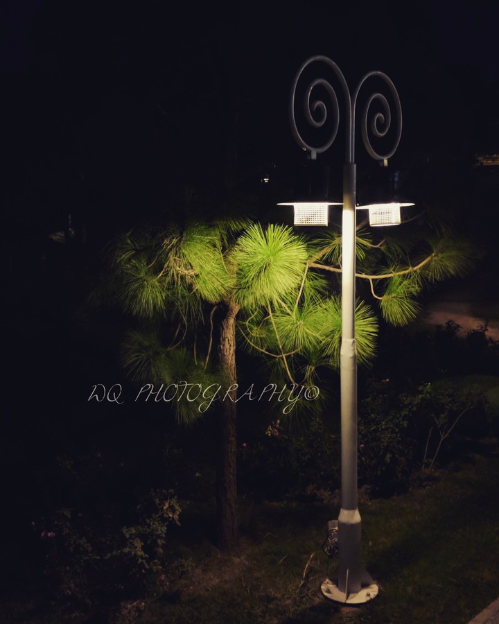 Park