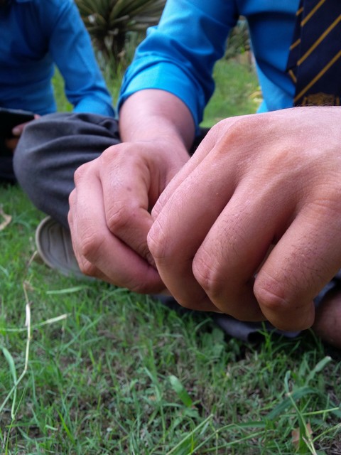 Hands