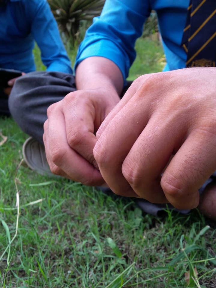 Hands 