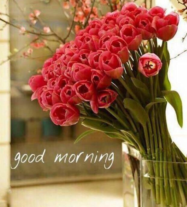 good morning