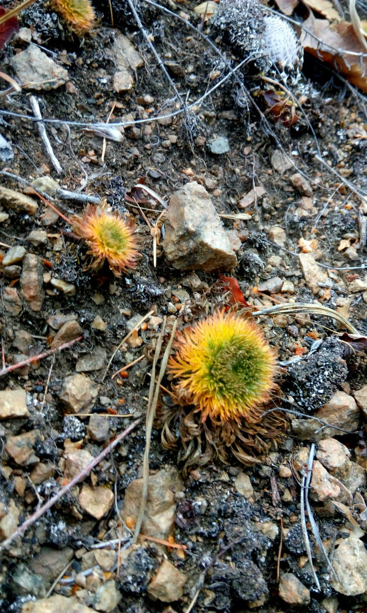 Autumn. Baikal. Wild.