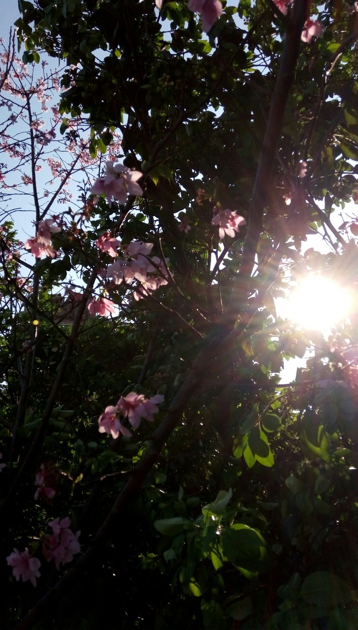 daylight