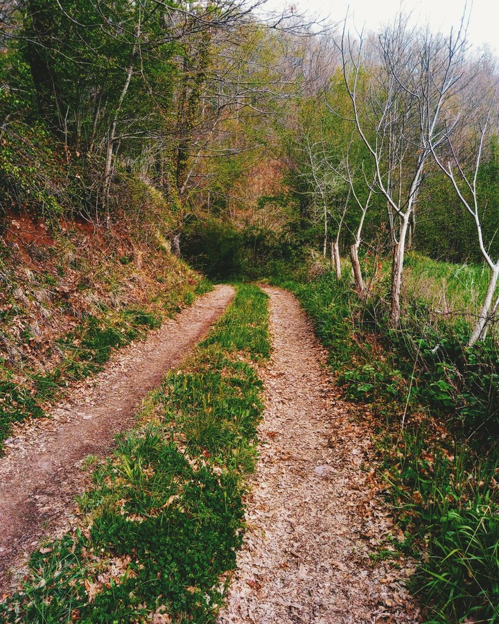 walking