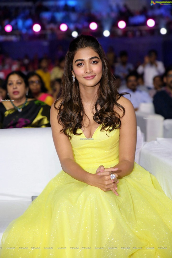 pooja hedge